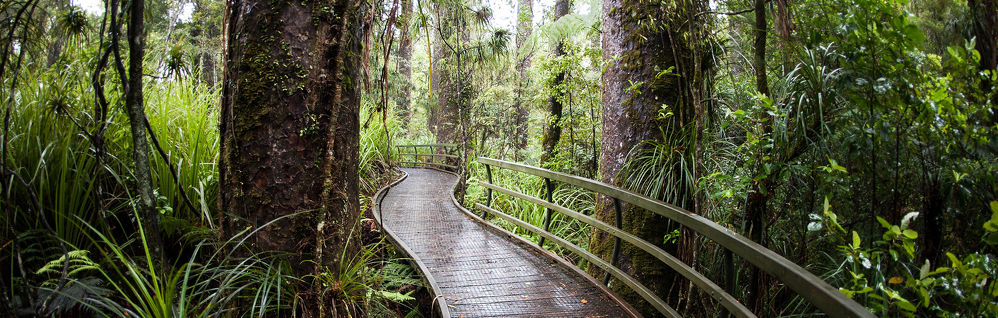 pathways-to-new-zealand